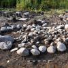 Suède - La tombe d'une défunte reposant sur un lit d'iris des marais à Bådstorp - Photo: Arkeologerna